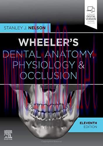 [AME]Wheeler&rsquo;s Dental Anatomy, Physiology and Occlusion, 11th Edition (EPUB)