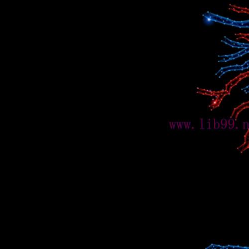 [AME]Mayo Clinic Echo Imaging in Colorado Including Multimodality Imaging: Ski Telluride 2023 (...