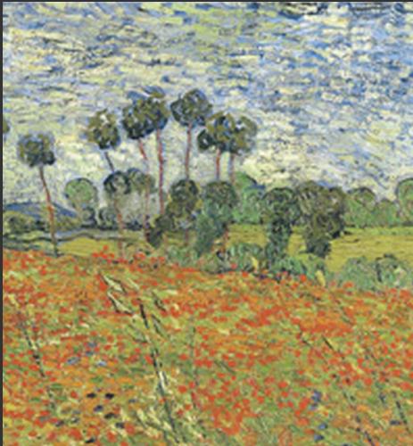 (Test Bank)Raven Biology of Plants 8th Edition by Ray F. Evert.zip