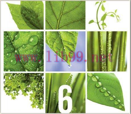 [FOX-Ebook]Management, 6th Edition