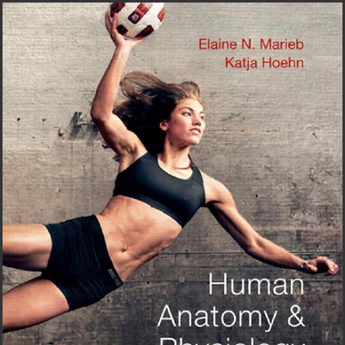 (Test Bank)Human Anatomy & Physiology 9th Edition.zip