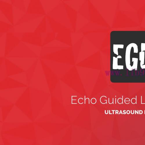 [AME]ECHO-Guided Life Support Using ultrasound to categorise shock and guide initial management...