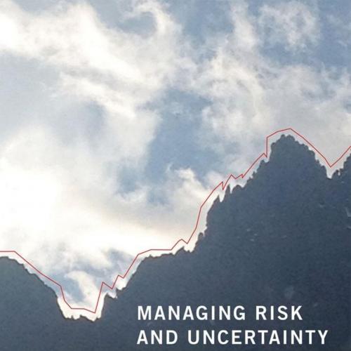 Managing Risk and Uncertainty_ A Strategic Approach (MIT Press) - Richard Friberg