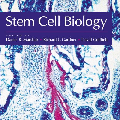 Stem Cell Biology (Cold Spring Harbor Monograph Series, 40)