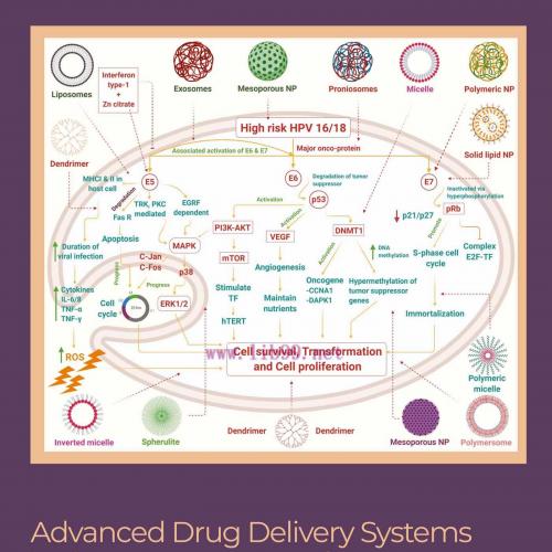 [AME]Advanced Drug Delivery Systems in the Management of Cancer (EPUB)