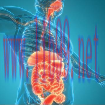 [AME]Gastroenterology and Hepatology Board Review 2023 (Videos)