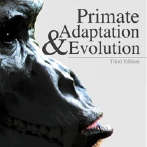 Primate Adaptation and Evolution 3rd Edition by Fleagle - 4_8=8AB@0B_@