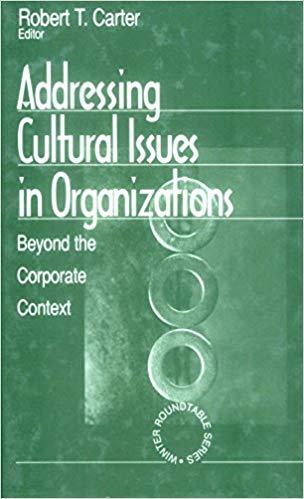 (PDF)Addressing Cultural Issues in Organizations Beyond the Corporate Context (Winter Roundtabl...