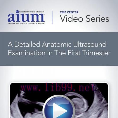 [AME]AIUM How to Perform a Detailed Anatomic Ultrasound Examination in the First Trimester (CME...