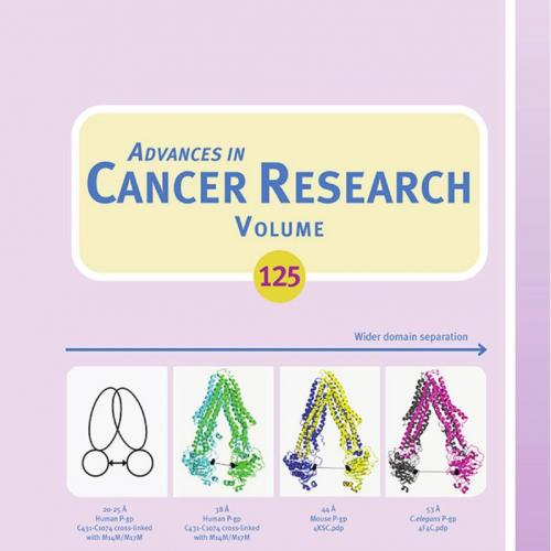 ABC Transporters and Cancer (Advances of Cancer Research, Volume 125)