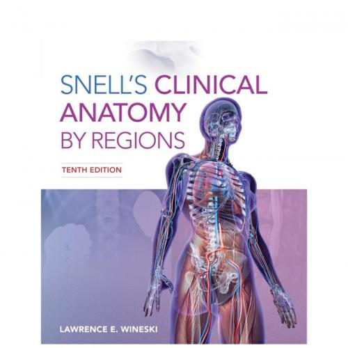 Snell''s Clinical Anatomy by Regions 10th Edition