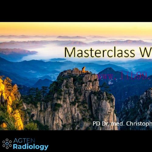[AME]Agten Wrist MRI Masterclass (CME VIDEOS)