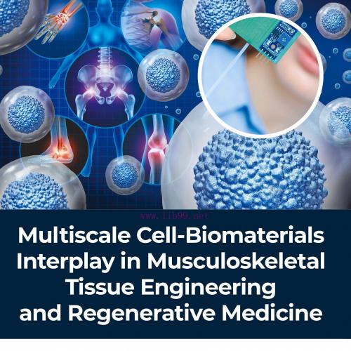 [AME]Multiscale Cell-Biomaterials Interplay in Musculoskeletal Tissue Engineering and Regenerat...