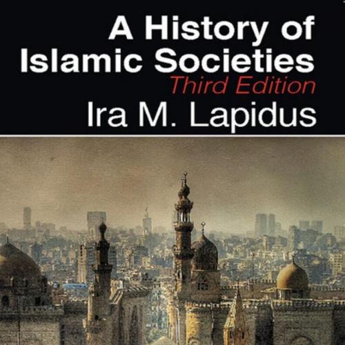 History of Islamic Societies, A