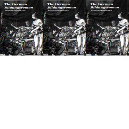 German Bildungsroman Incest and Inheritance (Cambridge Studies in German) - Michael Minden, The