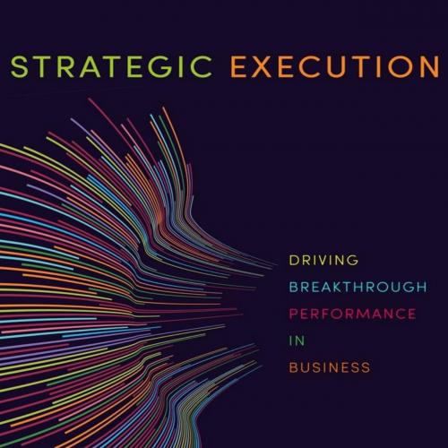 Strategic Execution Driving Breakthrough Performance in Business 1st by Kenneth J. Carrig - Ken...