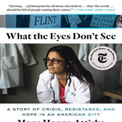 What the Eyes Don't See A Story of Crisis, Resistance, and Hope in an American City - Mona Hann...