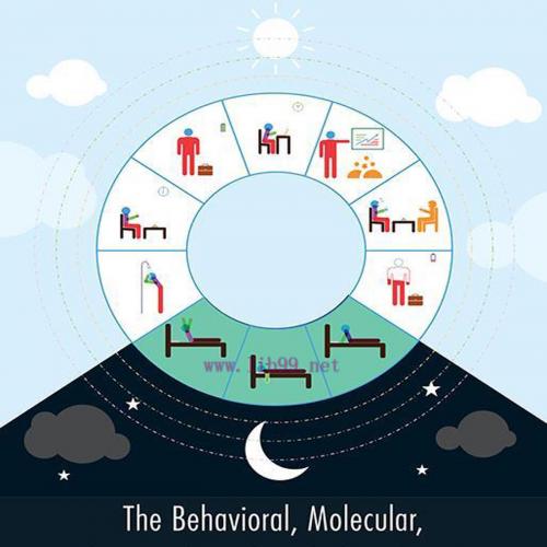 [AME]The Behavioral, Molecular, Pharmacological, and Clinical Basis of the Sleep-Wake Cycle (Or...
