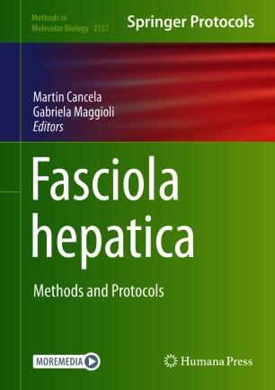 Fasciola hepatica