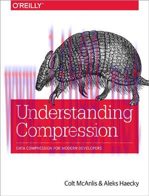 [SAIT-Ebook]Understanding Compression