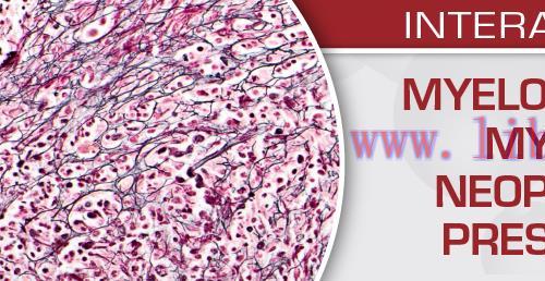 [AME]Hatha Yoga Illustrated (EPUB)