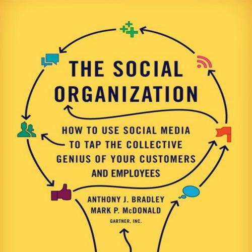 Social Organization_ How to - Anthony J. Bradley, The