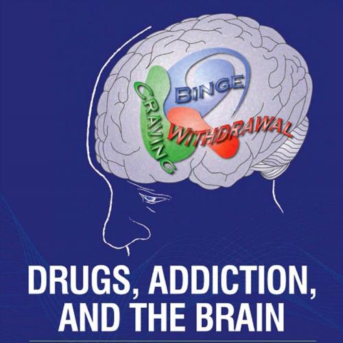 Drugs, Addiction, and the Brain