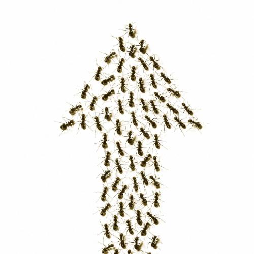 Strategic Management Competitiveness and Globalisation 6th Edition