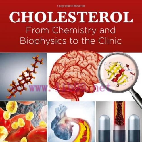 [AME]Cholesterol: From_ Chemistry and Biophysics to the Clinic (EPUB)