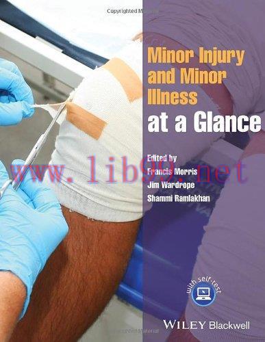[AME]Minor Injury and Minor Illness at a Glance (Original PDF)
