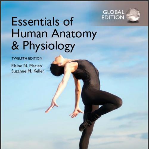 (Test Bank)Essentials of Human Anatomy & Physiology, 12th Global Edition.zip