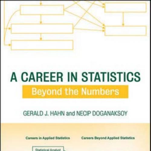 Career in Statistics Beyond the Numbers 0470404418, A