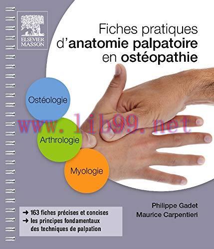 [AME]Fiches Pratiques D'anatomie Palpatoire En Ost&eacute;opathie (Hors collection) (French Edition) (...
