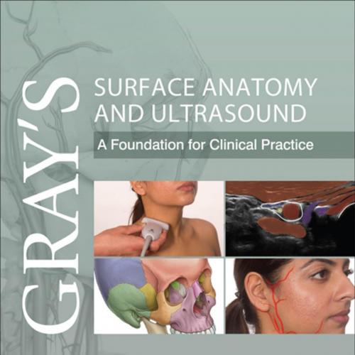Surface Anatomy and Ultrasound A Foundation for Clinical