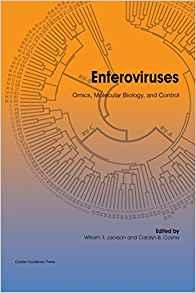 Enteroviruses Omics, Molecular Biology, and Control