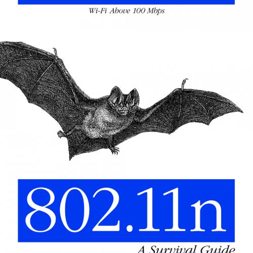 802.11n A Survival Guide