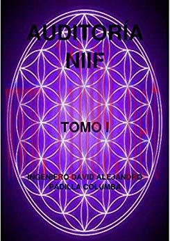 (PDF)Auditor&iacute;a NIIF: Tomo I (Spanish Edition)