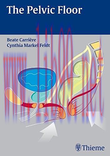 [AME]The Pelvic Floor