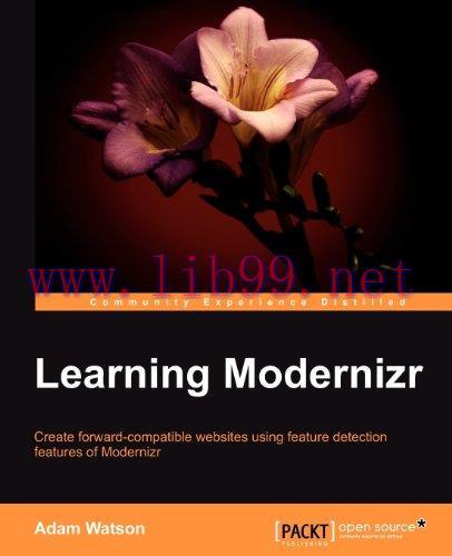 [FOX-Ebook]Learning Modernizr