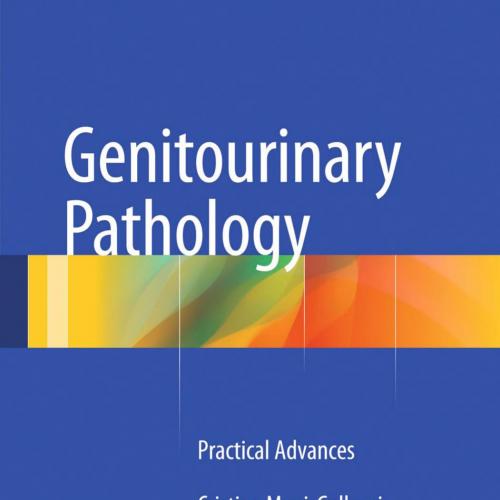 Genitourinary Pathology Practical Advances 2015th Edition