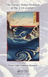 The Navier-Stokes Problem in the 21st Century