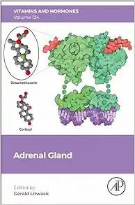 [AME]Adrenal Gland (Volume 124) (Vitamins and Hormones, Volume 124) (Original PDF)