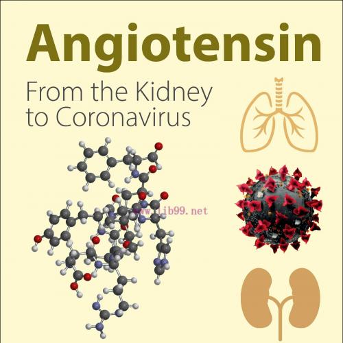 [AME]Angiotensin: From_ the Kidney to Coronavirus (Original PDF)
