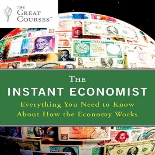 Instant Economist Everything You Need to Know About How the Economy Works, The