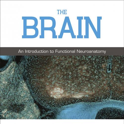 Brain An introduction to functional neuroanatomy, The - Watson, Charles.,Kirkcaldie, Matthew.,P...