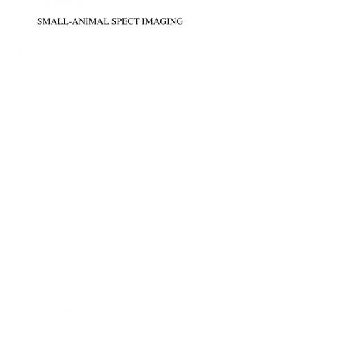 Small-Animal SPECT Imaging - Wei Zhi
