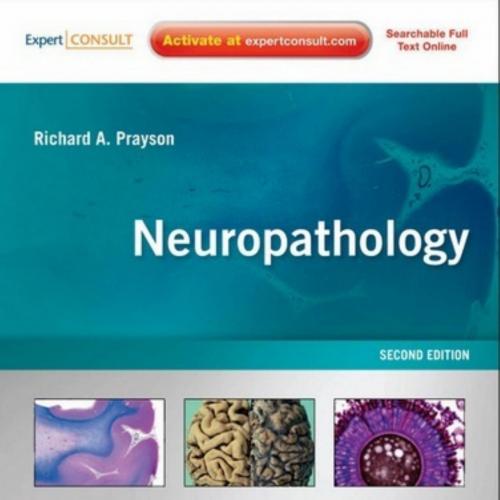 Neuropathology-A Volume in the Foundations in Diagnostic Pathology Series,2e
