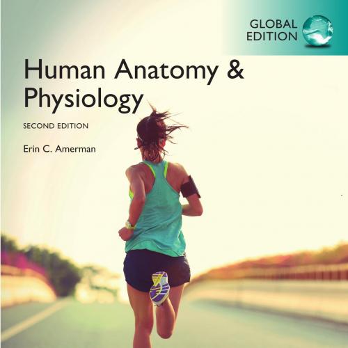 Human Anatomy Physiology 2nd Global Edition By Erin C. Amerman 120Yuan