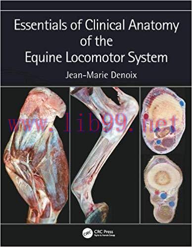 [PDF]Essentials of Clinical Anatomy of the Equine Locomotor System