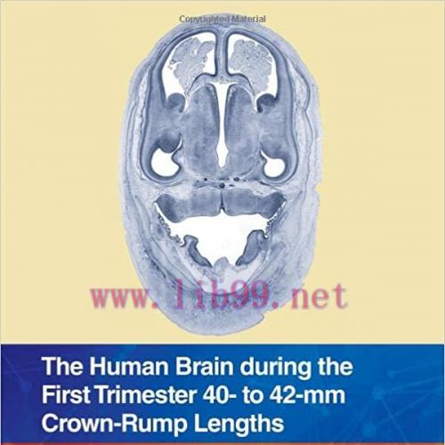 [AME]The Human Brain during the First Trimester 40- to 42-mm Crown-Rump Lengths: Atlas of Human...